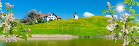 Téléchargez les photos : Paysage panoramique avec lac, fleurs et chaîne de montagnes au printemps - en image libre de droit