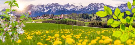 Téléchargez les photos : Paysage panoramique avec fleurs et chaîne de montagnes - en image libre de droit