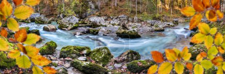 Téléchargez les photos : Canyon profond avec eau blanche sauvage et cascades en automne - en image libre de droit