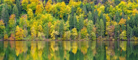 Photo for Panoramic view to rural landscape with vibrant colored leaves on trees with reflection in lake - Royalty Free Image