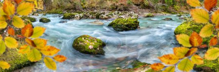 Foto de Cañón profundo con agua blanca salvaje y cascadas en otoño - Imagen libre de derechos
