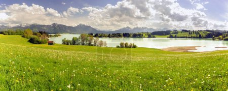 Téléchargez les photos : Paysage panoramique et nature avec lac Forggensee et chaîne de montagnes des Alpes en Bavière, Allemagne - en image libre de droit