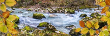 Photo for Deep canyon with white wild water and cascades in autumn - Royalty Free Image