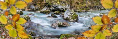 Photo for Deep canyon with white wild water and cascades in autumn - Royalty Free Image