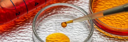 Photo for Experiment in scientific laboratory - Royalty Free Image