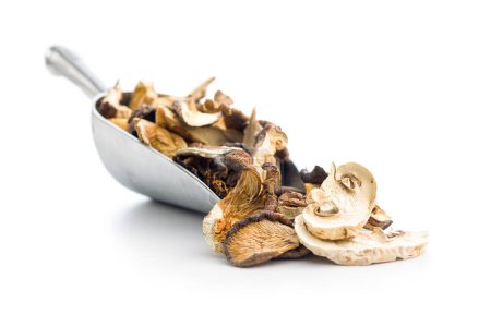 Various sliced dried mushrooms in scoop isolated on the white background.