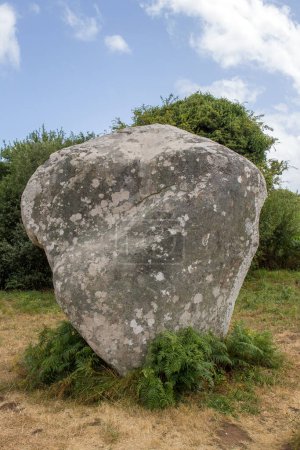 Téléchargez les photos : Alignement de Kerzerho - site archéologique avec rangées de menhirs - situé à environ 8 km au nord-ouest de Carnac dans le village d'Erdeven département du Morbihan en Bretagne, France - en image libre de droit