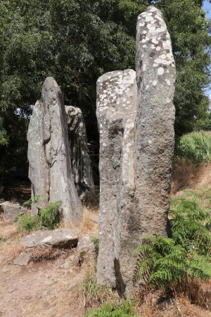 Téléchargez les photos : Alignements d'Erdeven - groupe de menhirs près du village d'Erdeven en Bretagne, France - en image libre de droit