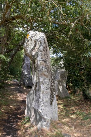 Téléchargez les photos : Alignement de la Table des Sacrifices - monument mégalithique - près d'Erdeven en Bretagne, France - en image libre de droit