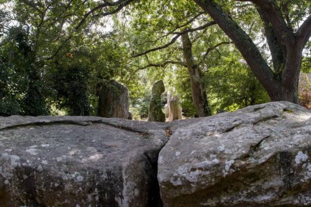 Téléchargez les photos : Dolmen La Table du Sacrifice - monument mégalithique - près d'Erdeven en Bretagne Erdeven en Bretagne, France - en image libre de droit