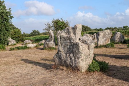 Téléchargez les photos : Alignement de Kerzerho - site archéologique avec rangées de menhirs - situé à environ 8 km au nord-ouest de Carnac dans le village d'Erdeven département du Morbihan en Bretagne, France - en image libre de droit