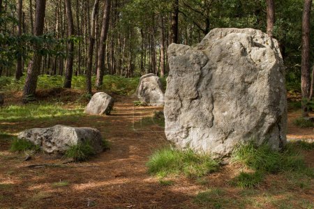 Téléchargez les photos : Groupe de menhirs près de la pierre Président du César, ancienne partie des Alignements de Kerzerho, Erdeven, Bretagne, France - en image libre de droit