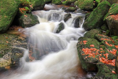 Photo for Rapids on Jedlova Creek in autumn, Jizera Mountains,  Czech Republic - Royalty Free Image