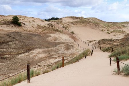 Tourist trail through the dunes near Czolpino village  in the Slovincian National Park, Poland