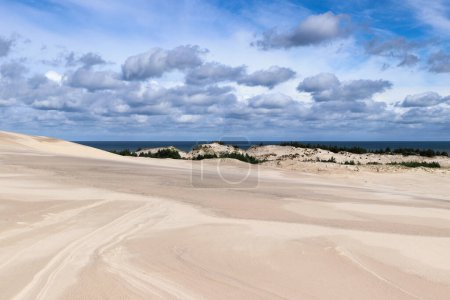 Lacka gora dune near Leba village  in the Slovincian National Park, Poland. Lacka gora is the highest dune on the Polish Baltic coast.
