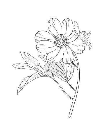 Coloring page for adults. Line art coloring activity. Beautiful hand-drawn flower.  Mindful coloring for stress relief. Vector illustration