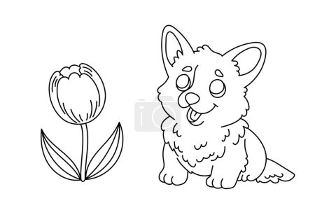 Illustration for Line art coloring page for kids. Kindergarten or preschool coloring activity. Kawaii welsh corgi puppy and tulip. Cute pet vector illustration - Royalty Free Image