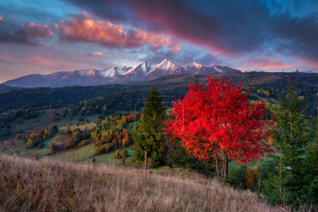 Photo for Beautiful autumn with red an yellow trees under the Tatra Mountains at dawn. Slovakia - Royalty Free Image
