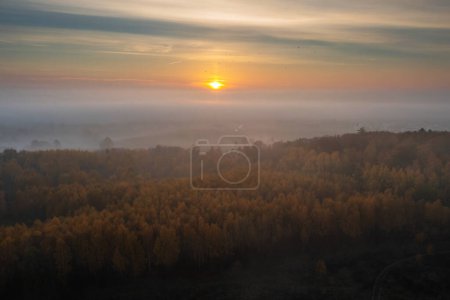 Photo for Beautiful landscape with morning fog over the forest in Poland - Royalty Free Image