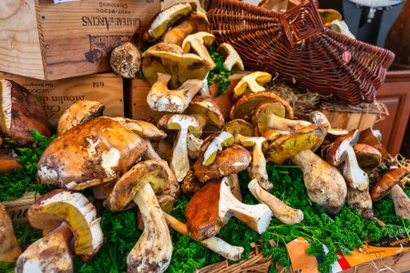 Photo for Paris, France - September 17, 2022: Mushrooms on display at a street market in Paris, France - Royalty Free Image