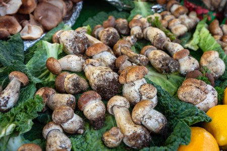 Photo for Mushrooms on display at a street market in Paris, France - Royalty Free Image