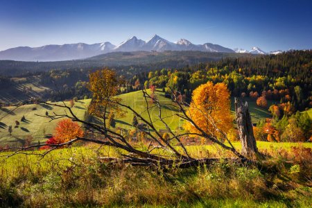 Photo for Beautiful autumn with red trees under the Tatra Mountains at sunrise. Slovakia - Royalty Free Image