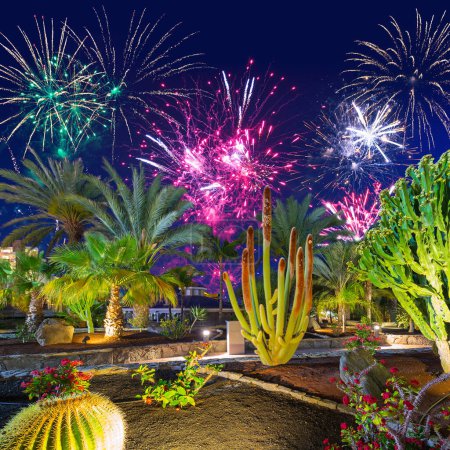 Foto de Nuevos años de fuegos artificiales sobre la flora tropical de Gran Canaria, España. - Imagen libre de derechos