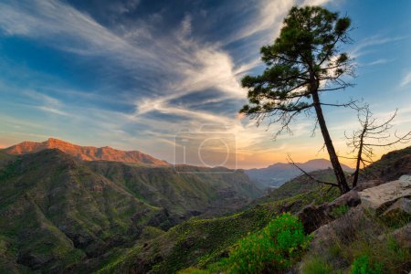 Beautiful mountains on the island of Gran Canaria in Spain at sunset.
