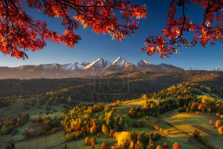 Photo for Beautiful autumn with red trees under the Tatra Mountains at sunrise. - Royalty Free Image