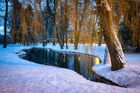 Foto de Paisaje invernal en el parque público nevado de Gdansk Oliwa, Polonia - Imagen libre de derechos