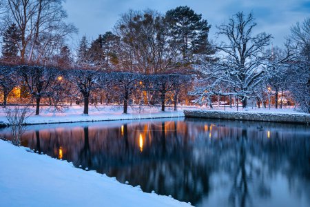 Foto de Winter scenery in snowy public park in Gdansk Oliwa, Poland - Imagen libre de derechos
