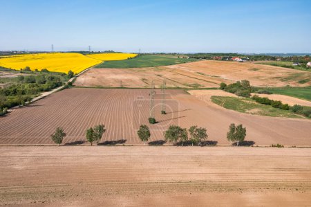 Photo for Aerial landscape of dry fields under blue sky, Poland - Royalty Free Image