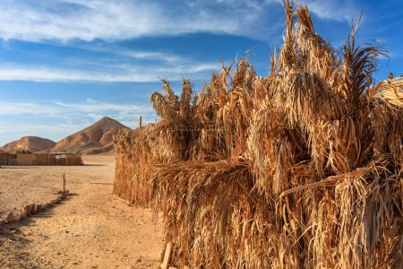Téléchargez les photos : Paysage désertique du village bédouin dans la région de Marsa Alam, Égypte - en image libre de droit