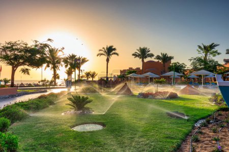 Téléchargez les photos : Marsa Alam, Égypte - 8 mai 2023 : Beaux jardins de l'Akassia Swiss Resort au bord de la mer Rouge à Marsa Alam, Égypte. - en image libre de droit