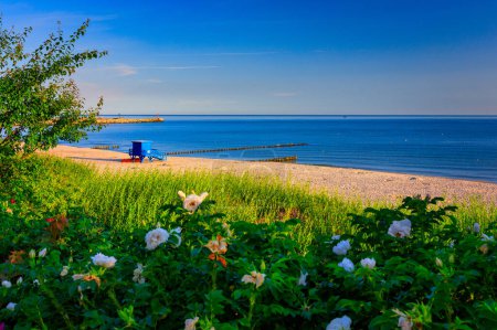 Téléchargez les photos : Beau paysage sur la plage d'été à la mer Baltique à Ustka, Pologne. - en image libre de droit