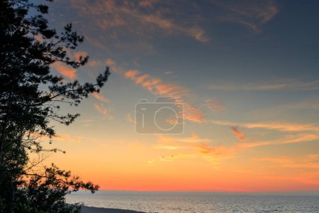Téléchargez les photos : Pin près de la plage de la mer Baltique à Sztutowo au coucher du soleil, Pologne - en image libre de droit