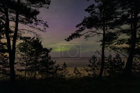 Téléchargez les photos : Les aurores boréales visibles sur la plage de la mer Baltique à Sztutowo, Pologne. - en image libre de droit