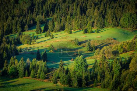 Téléchargez les photos : Brume matinale sous les montagnes Tatra, Slovaquie. - en image libre de droit