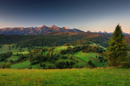 Téléchargez les photos : Les Belianske Tatras au lever du soleil, Osturnia. Slovaquie - en image libre de droit