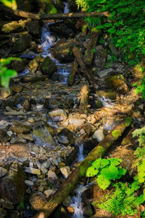 Photo for Cascades of mountain creek in Tatra National Park, Poland - Royalty Free Image