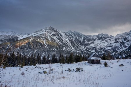 Téléchargez les photos : Winter on Hala Gasienicowa in the Tatra Mountains at dusk, Poland. - en image libre de droit