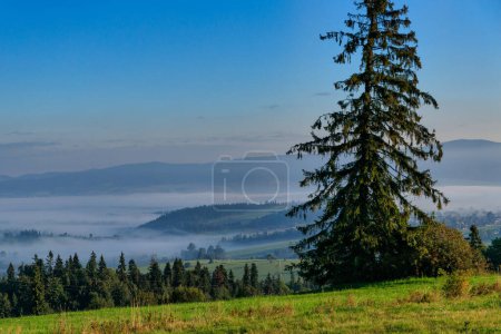 Téléchargez les photos : Beau paysage de la région brumeuse de Podhale. Pologne - en image libre de droit