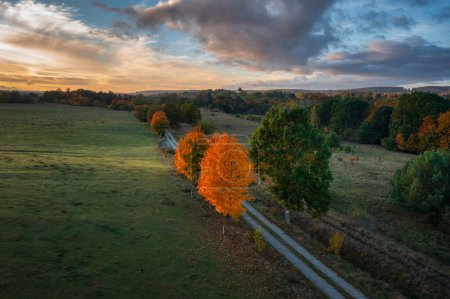 Photo for Beautiful landscape with autumn trees at sunset. Poland - Royalty Free Image