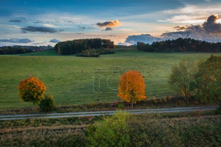 Téléchargez les photos : Beau paysage avec des arbres d'automne au coucher du soleil. Pologne - en image libre de droit