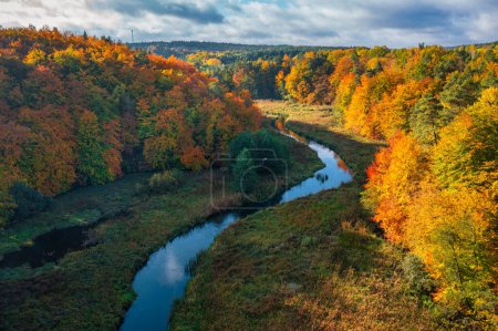 Foto de Paisaje otoñal del bosque y retorcido río Radunia en Kashubia. Polonia - Imagen libre de derechos