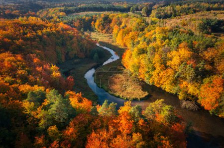Die herbstliche Landschaft des Waldes und des gewundenen Radunia-Flusses in Kaschubia. Polen