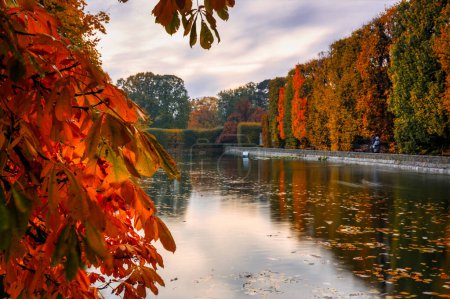 Foto de Callejón de otoño con hojas amarillas en el parque público de Gdansk Oliwa, Polonia - Imagen libre de derechos