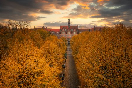Téléchargez les photos : Beau bâtiment de l'Université de technologie de Gdansk à l'automne. Pologne - en image libre de droit