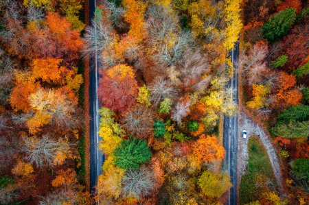 Téléchargez les photos : Une route sinueuse dans le district du lac Kashubian à l'automne, Pologne. - en image libre de droit