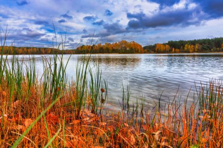 Foto de Paisaje otoñal de los lagos y bosques de Kashubian, Polonia - Imagen libre de derechos